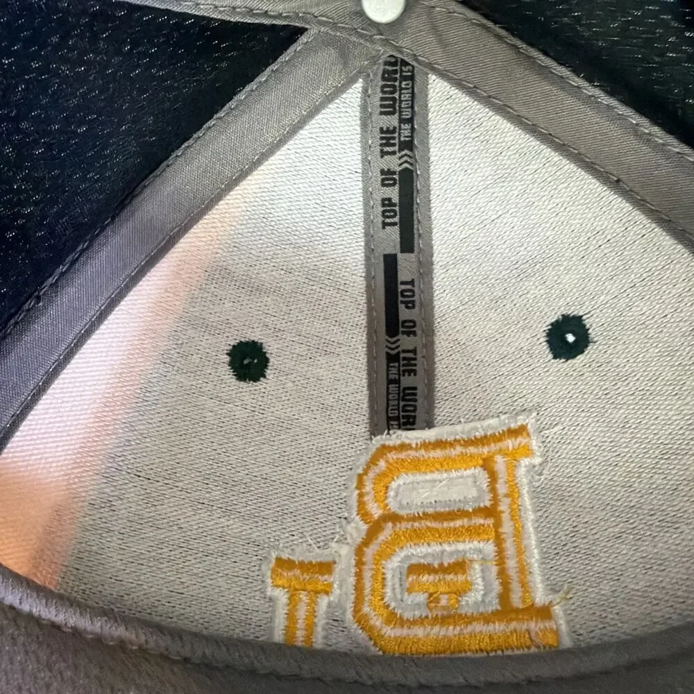 Top Of The World Baylor Bears Football Curved Brim Hat embroidered memory fit